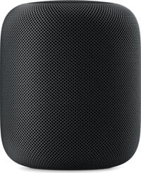 Apple HomePod schwarz (MQHW2B/A)