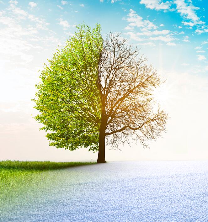 Datenbeschaffung und -transformation für Natural Language Processing