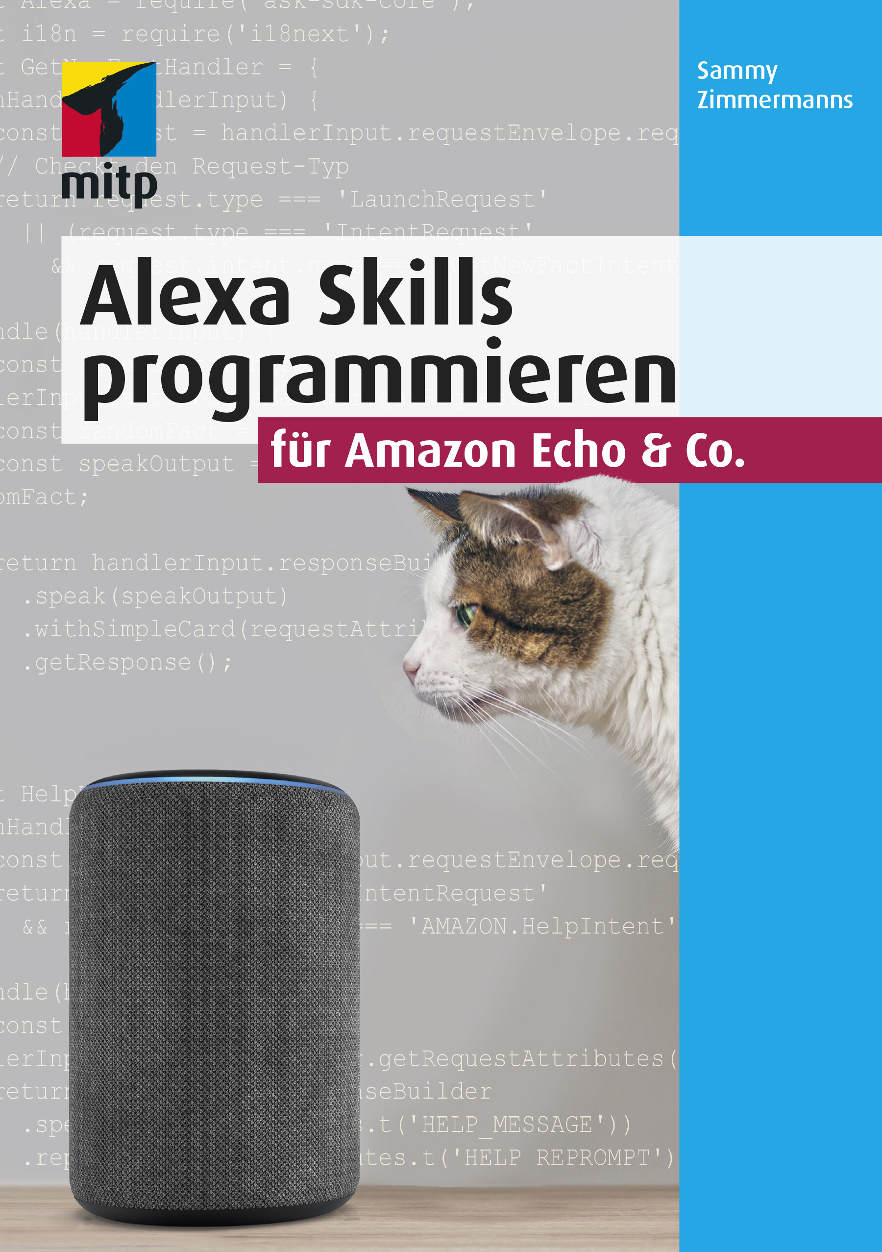 Alexa Skills programmieren für Amazon Echo
