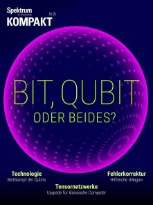 Produktbild für Bit, Qubit oder beides? (Spektrum Kompakt)