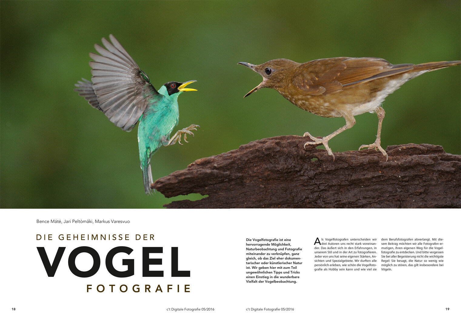 c't Digitale Fotografie 5/2016