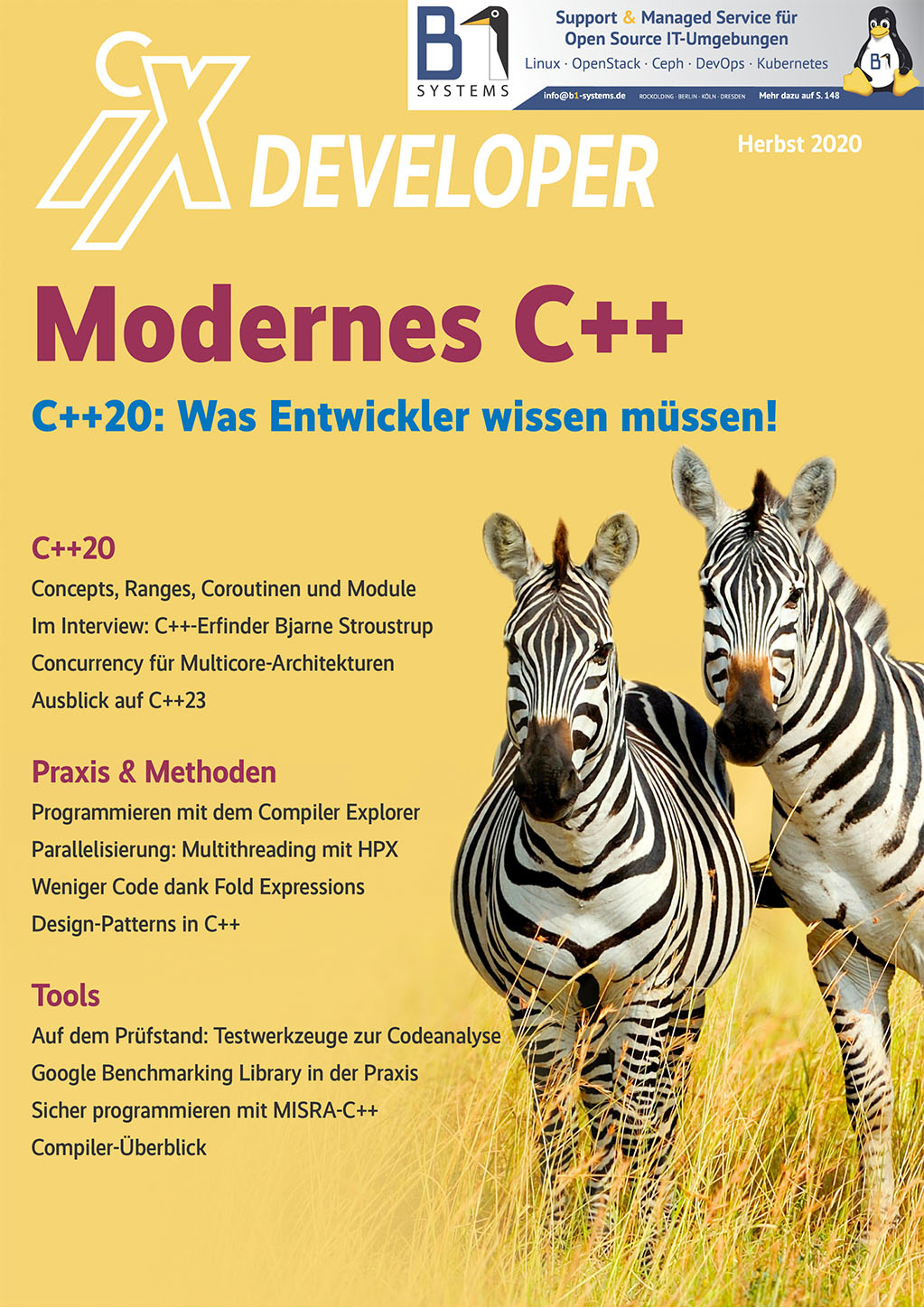 iX Developer - Modernes C++