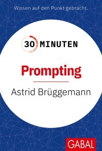 Produktbild für 30 Minuten Prompting