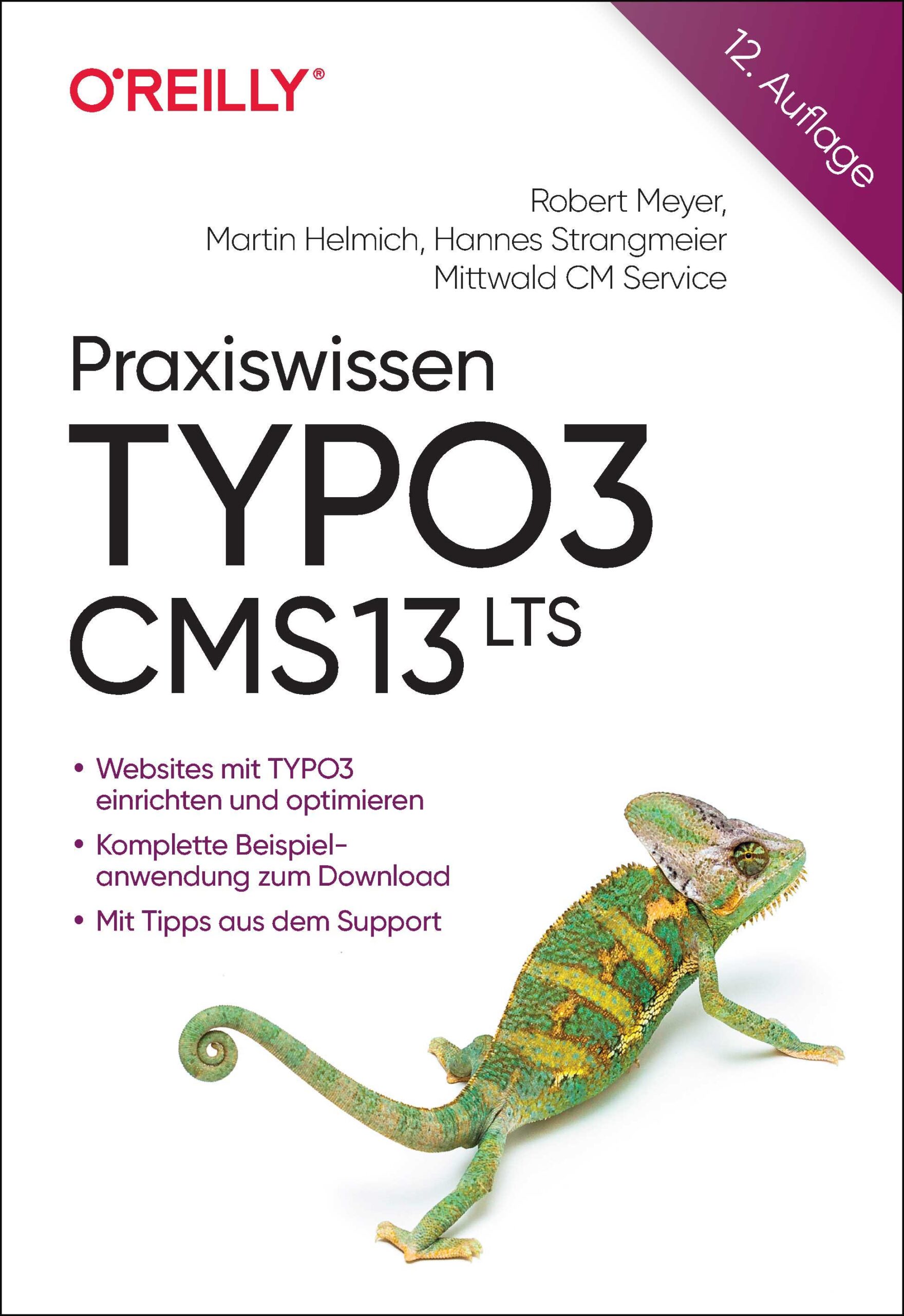 Praxiswissen TYPO3 CMS 13 LTS (12., aktualisierte Auflage) dpunkt Praxiswissen TYPO3 CMS 13 LTS (12., aktualisierte Auflage) dpunkt