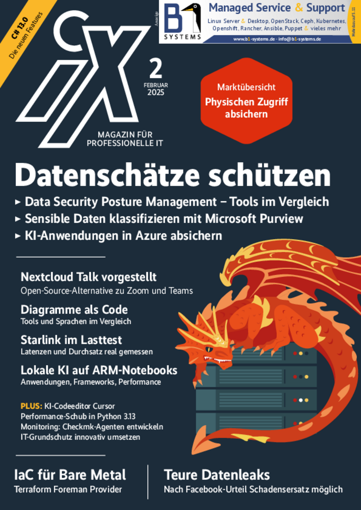 iX 02/2025