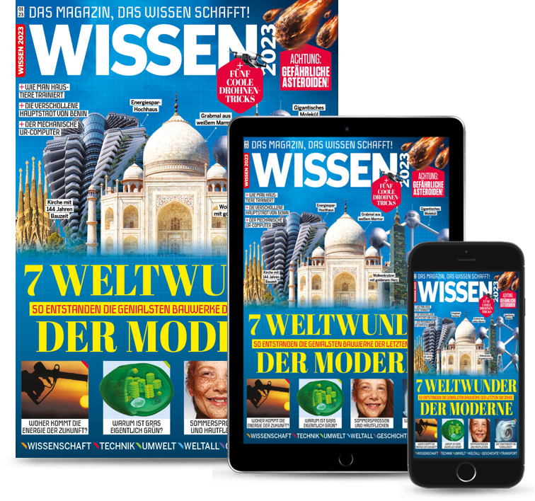 Wissen Jahresabo Heft & Digital