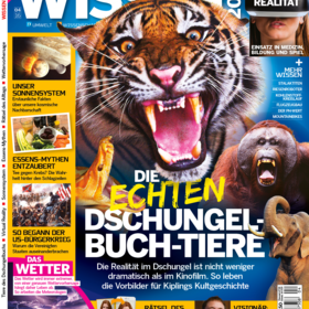 Wissen 04/2016