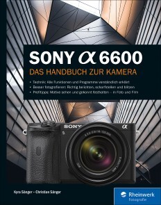 Produktbild für Sony Alpha 6600