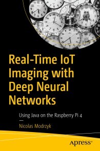 Produktbild für Real-Time IoT Imaging with Deep Neural Networks