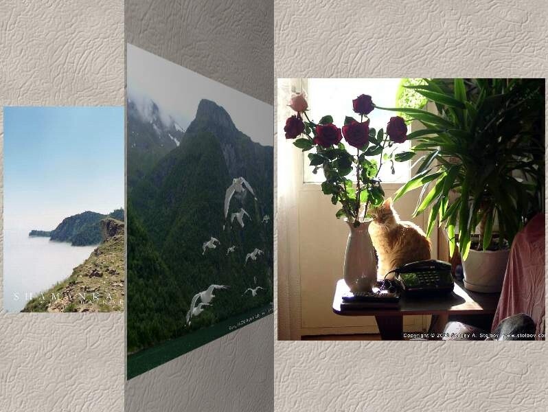  3D Photo Album Screensaver