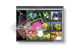 ACDSee Digital-Bilderrahmen-Manager