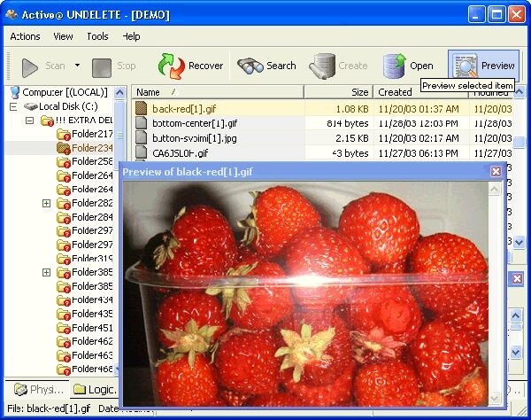  Active@ Undelete Files