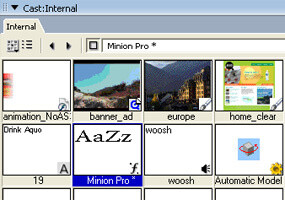  Adobe Director