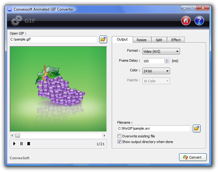  Animated GIF Converter