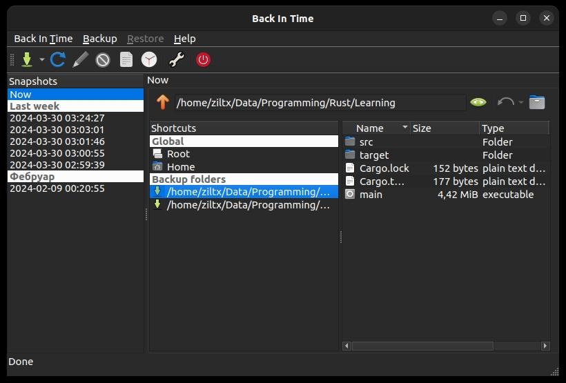Screenshot der GUI des Backup-Tools 