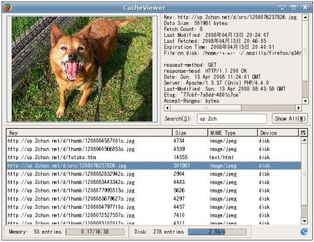 CacheViewer