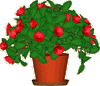 DesktopPlant