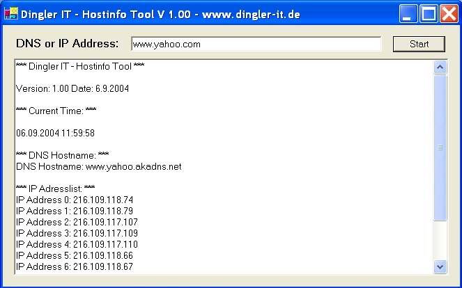 Dingler IT - Hostinfo Tool
