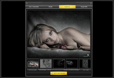 Endlose Flash Fotogalerie