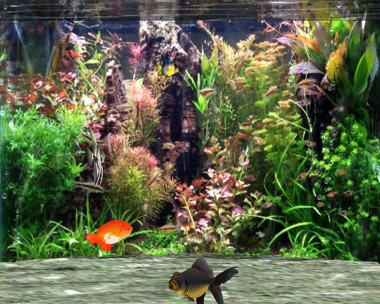 Fantastic 3D Fish Aquarium