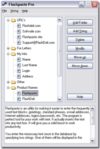 FlashPaste Professional