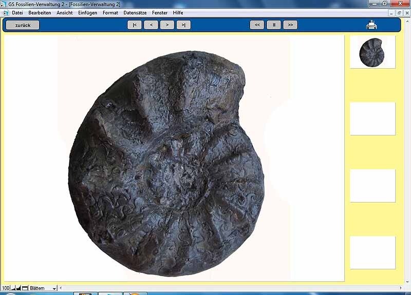 GS Fossilien-Verwaltung