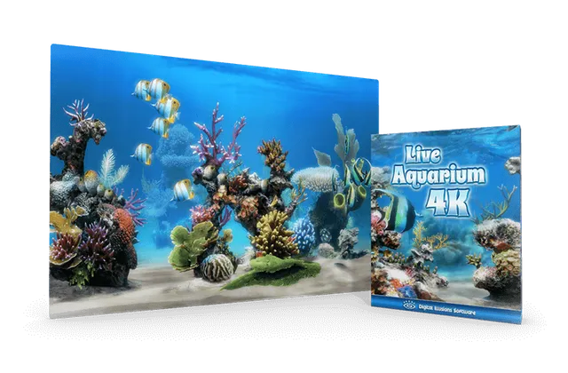 Live Aquarium 4K