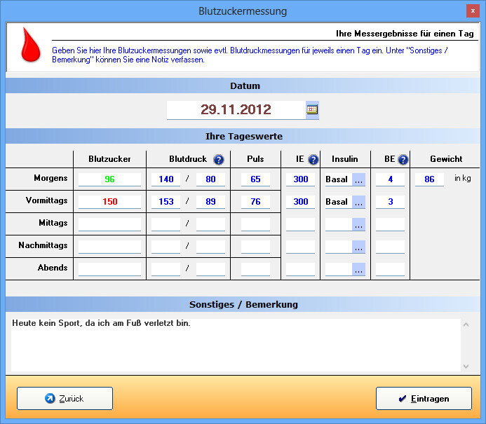  Mein Blutzucker 2013