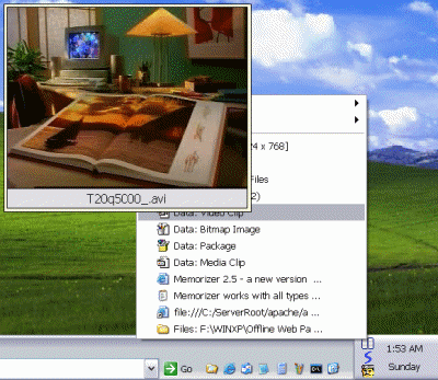  Memorizer