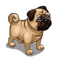 MOPS