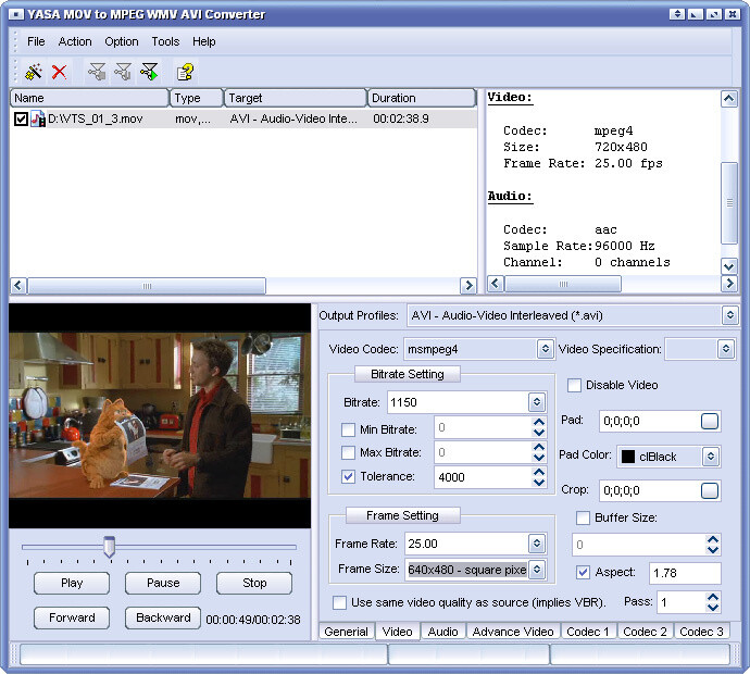 MOV to MPEG WMV AVI Converter