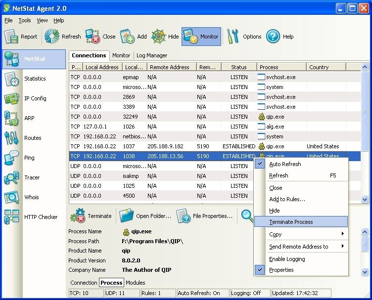 NetStat Agent