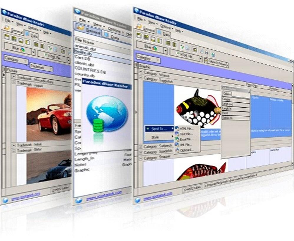 paradox 10 download