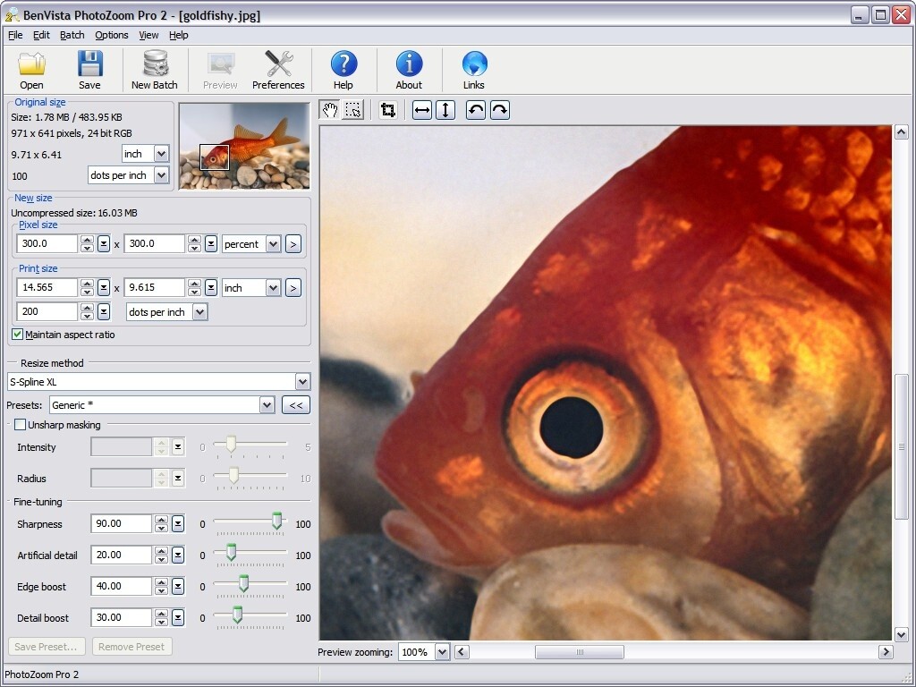 benvista photozoom pro 7