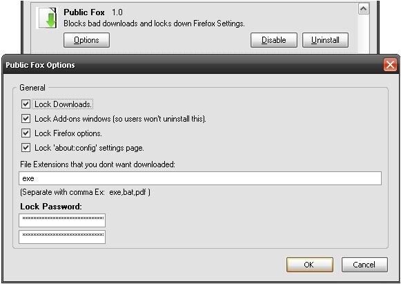  Public Fox