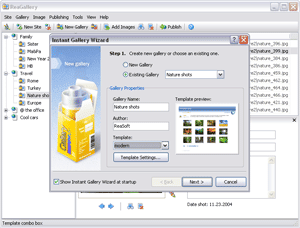 ReaGallery Pro