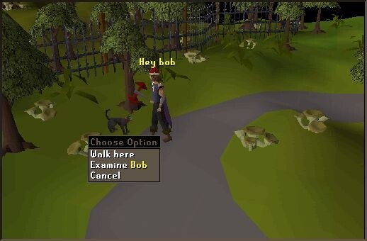  RuneScape