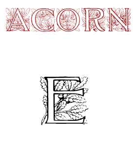  Typographer Fonts