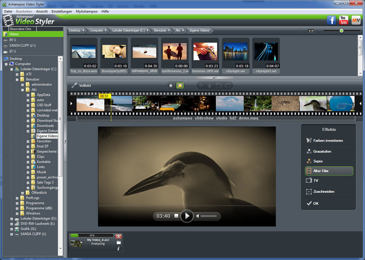  Video Styler