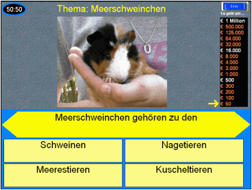Wer wird Quillionär?