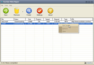 YouTube Video Ripper