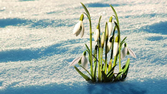 Spring startet Projekt f&Atilde;&frac14;r Serverless Computing