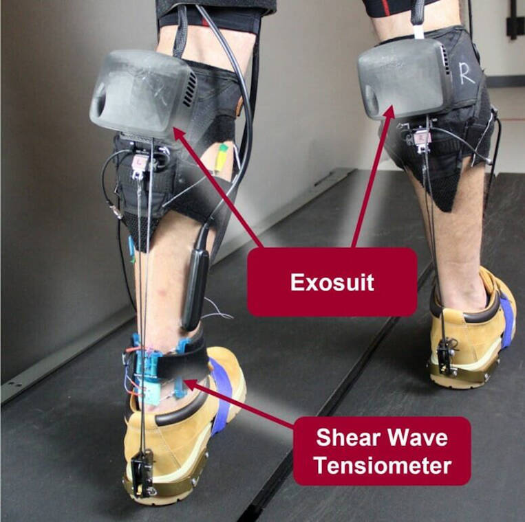 Exosuit Sesor 622938c1551cac63 The No.1 Media Portal for Industrial & Medical Exoskeletons.