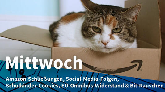 Katze lugt aus Amazon-Schachtel; Mittwoch: Amazon-Schließungen, Social-Media-Folgen, Schulkinder-Cookies, EU-Omnibus-Widerstand & Bit-Rauschen