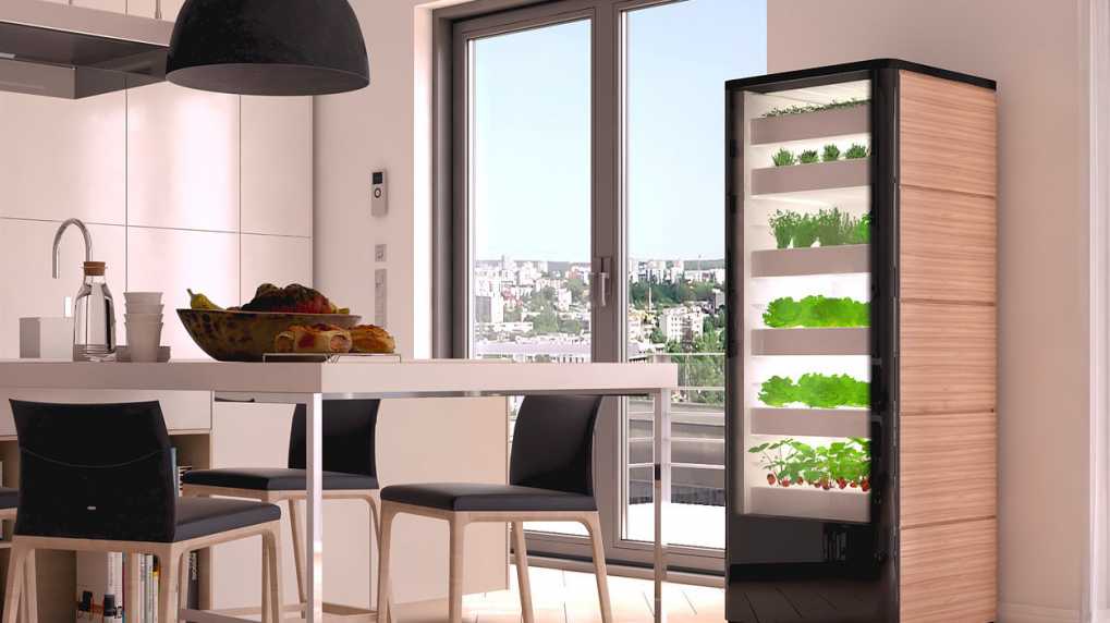 Vertical Farming Start Ups Wollen Hightech Gewachshaus In Die Kuche Bringen Heise Online