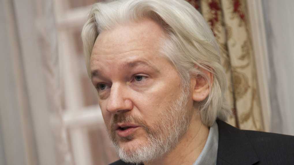 Julian Assange Heise Online