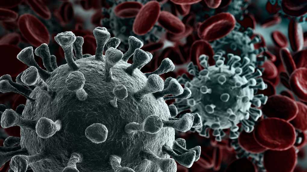 Bildergebnis für Coronavirus