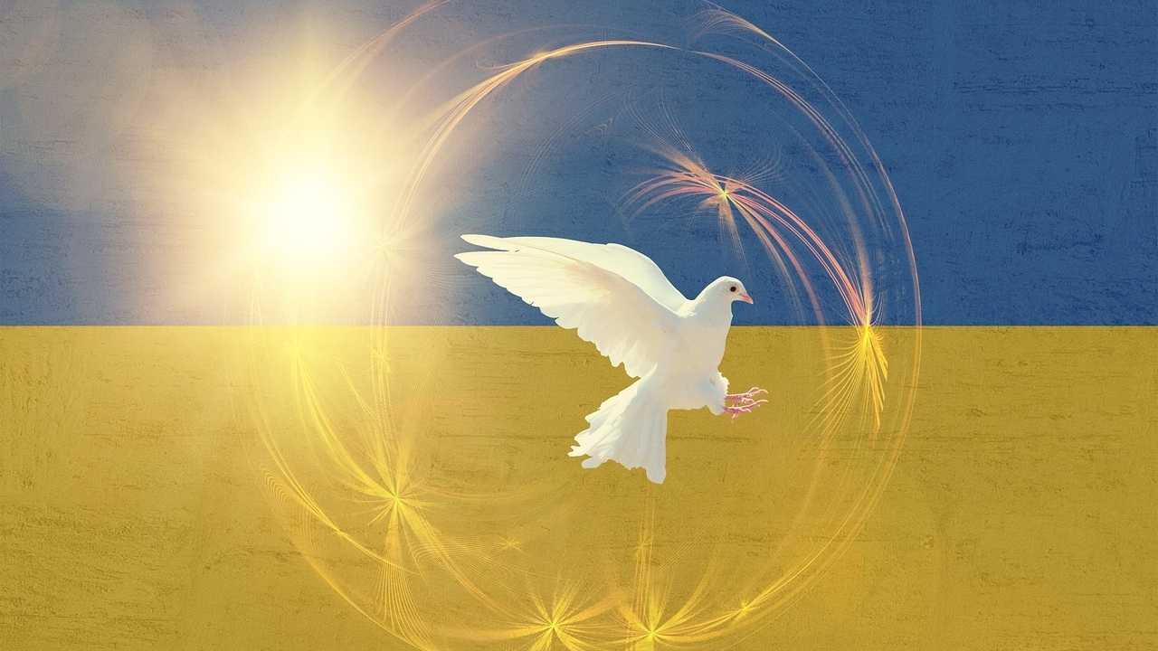 Friedenstaube vor Ukraine-Flagge