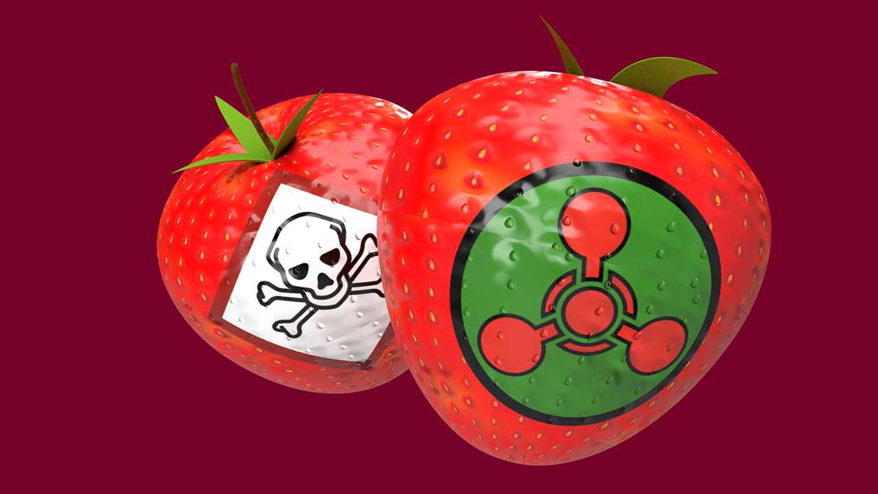 In zahlreichen Supermärkten wurden Pestizide in Erdbeeren gefunden.
