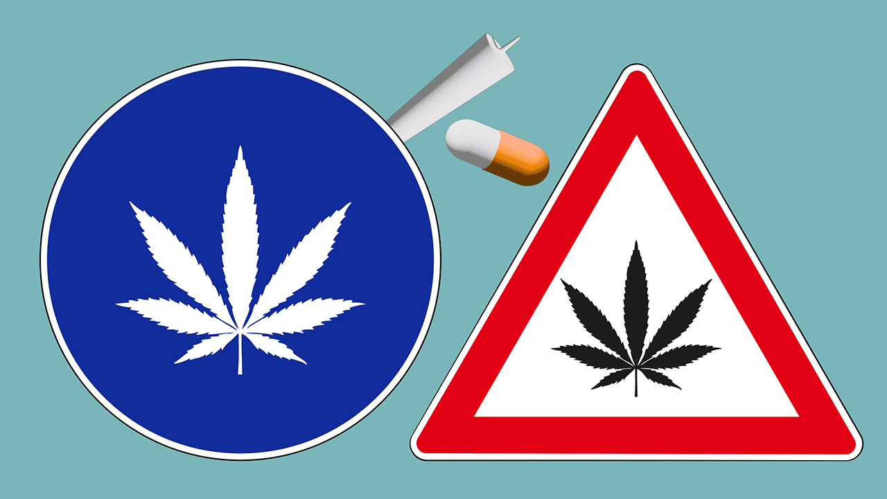 Cannabis Schaden Nutzen